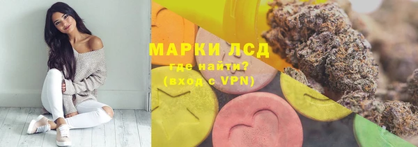 гашик Баксан
