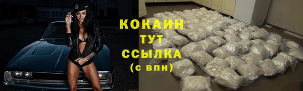 крисы Балахна