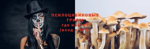 крисы Балахна