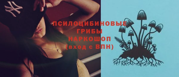 крисы Балахна