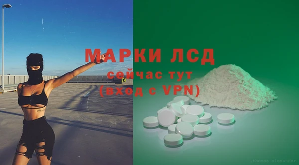 крисы Белокуриха