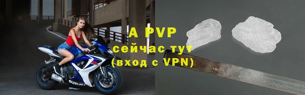 крисы Балахна