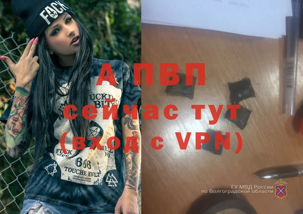 гашик Баксан