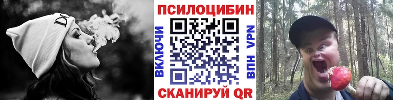 Псилоцибиновые грибы мицелий  Новотитаровская 