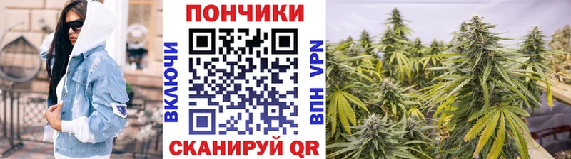 закладки  Новотитаровская  Марихуана семена 